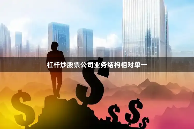 杠杆炒股票公司业务结构相对单一