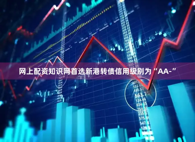 网上配资知识网首选新港转债信用级别为“AA-”