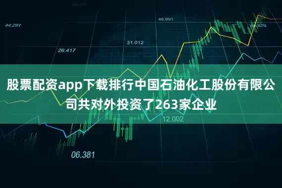 股票配资app下载排行中国石油化工股份有限公司共对外投资了263家企业