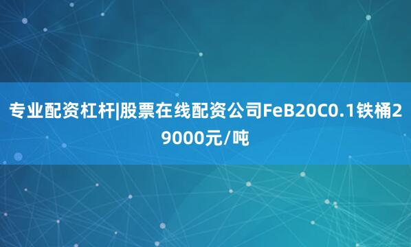 专业配资杠杆|股票在线配资公司FeB20C0.1铁桶29000元/吨