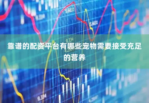 靠谱的配资平台有哪些宠物需要接受充足的营养