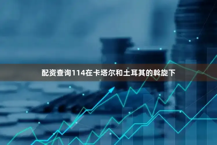 配资查询114在卡塔尔和土耳其的斡旋下